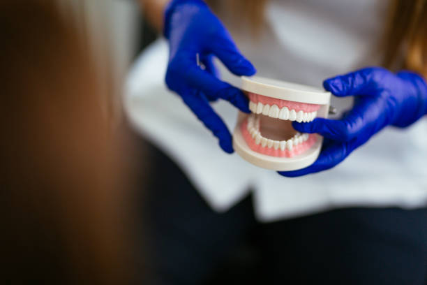 Trusted Ben Bolt, TX  Holistic Dental Services Experts